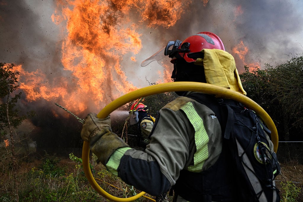 Firefighters work together to extinguish a wildfire