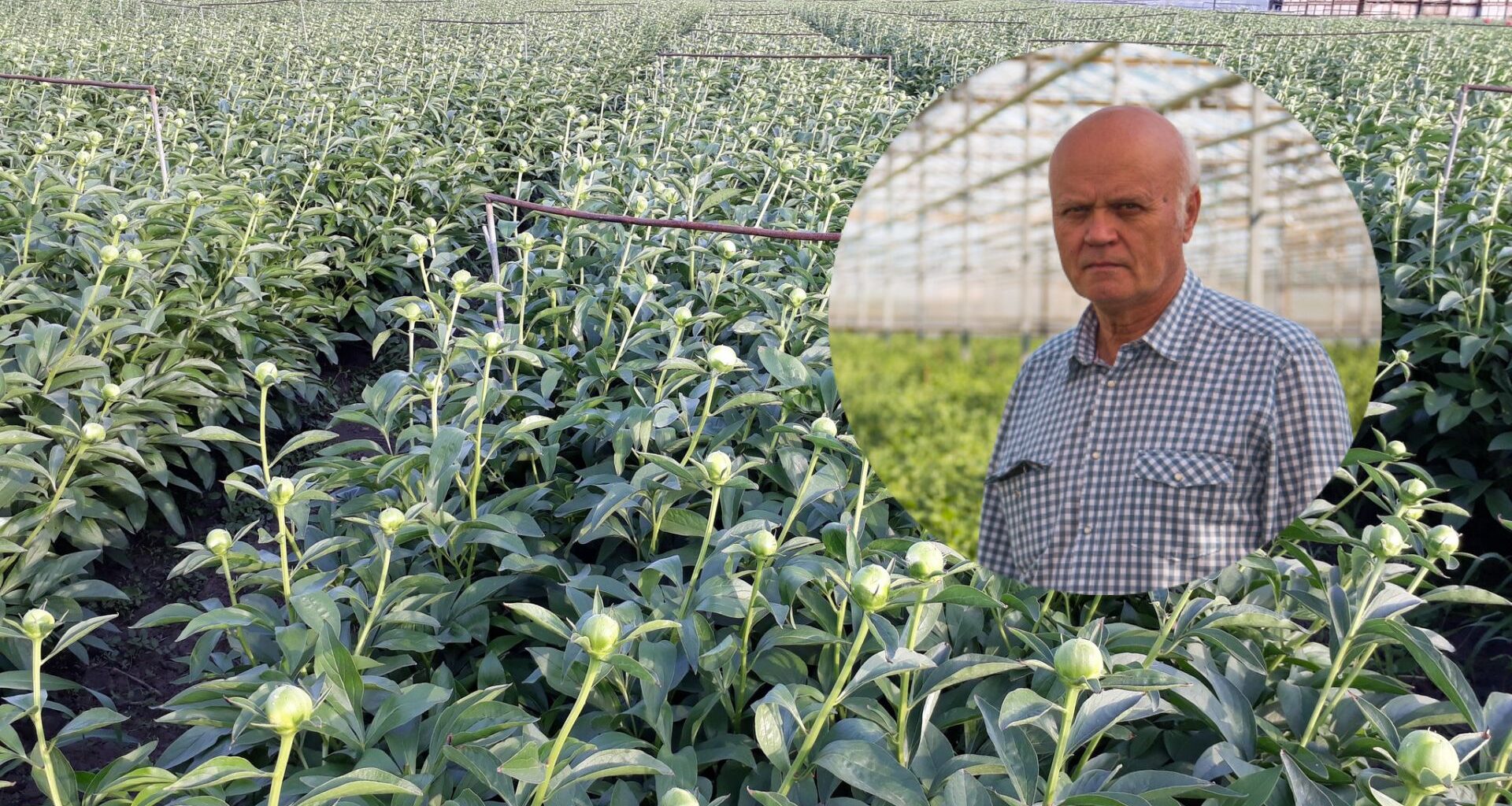 Cel mai mare producător de flori tăiate din România vinde afacerea