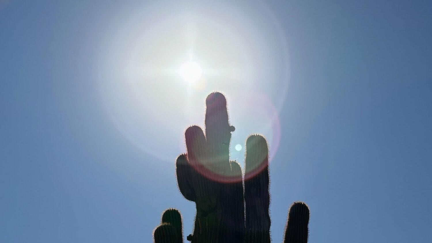 Hottest August day ever in Phoenix at 118 degrees. The normal for this time of year is 105 degrees