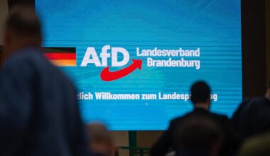 AfD Brandenburg laut Gutachten "gesichert rechtsextremistisch"