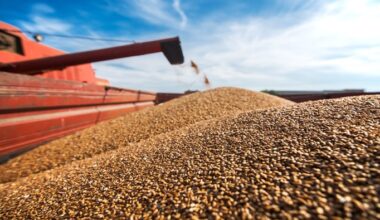 Grain prices slip further | News from AA Farmer