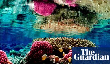 Court bans fishing in Pacific protected area overriding Trump officials’ rollback | Judge in Hawaii rules that commercial fishing is illegal in Pacific Islands Heritage marine national monument