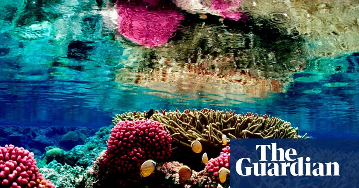 Court bans fishing in Pacific protected area overriding Trump officials’ rollback | Judge in Hawaii rules that commercial fishing is illegal in Pacific Islands Heritage marine national monument