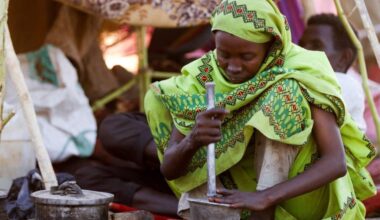 Sudan’s famine worsens as civil war intensifies: ‘We have nothing to eat but animal feed’