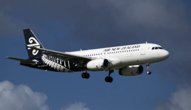 Air New Zealand earnings down in a soft domestic market as engine dramas linger