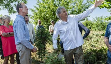 Bäume in Not: So will Luxemburg seine Wälder schützen