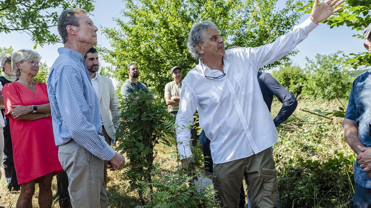 Bäume in Not: So will Luxemburg seine Wälder schützen