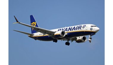 Ryanair отказа да поеме отговорност за скандала със сваленото семейство с дете