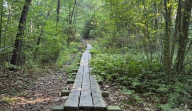 Environmental groups cite successes, continuing challenges