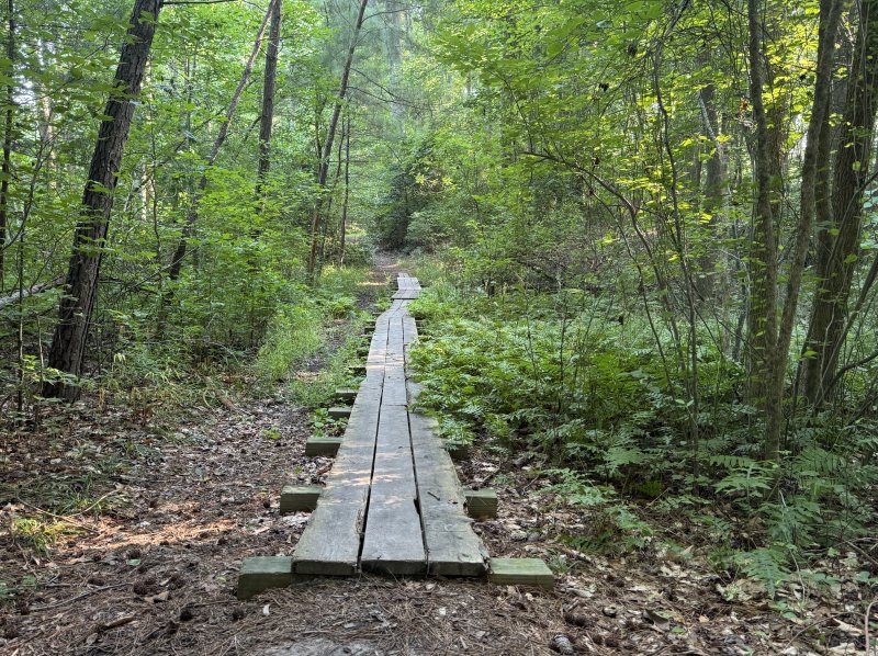Environmental groups cite successes, continuing challenges