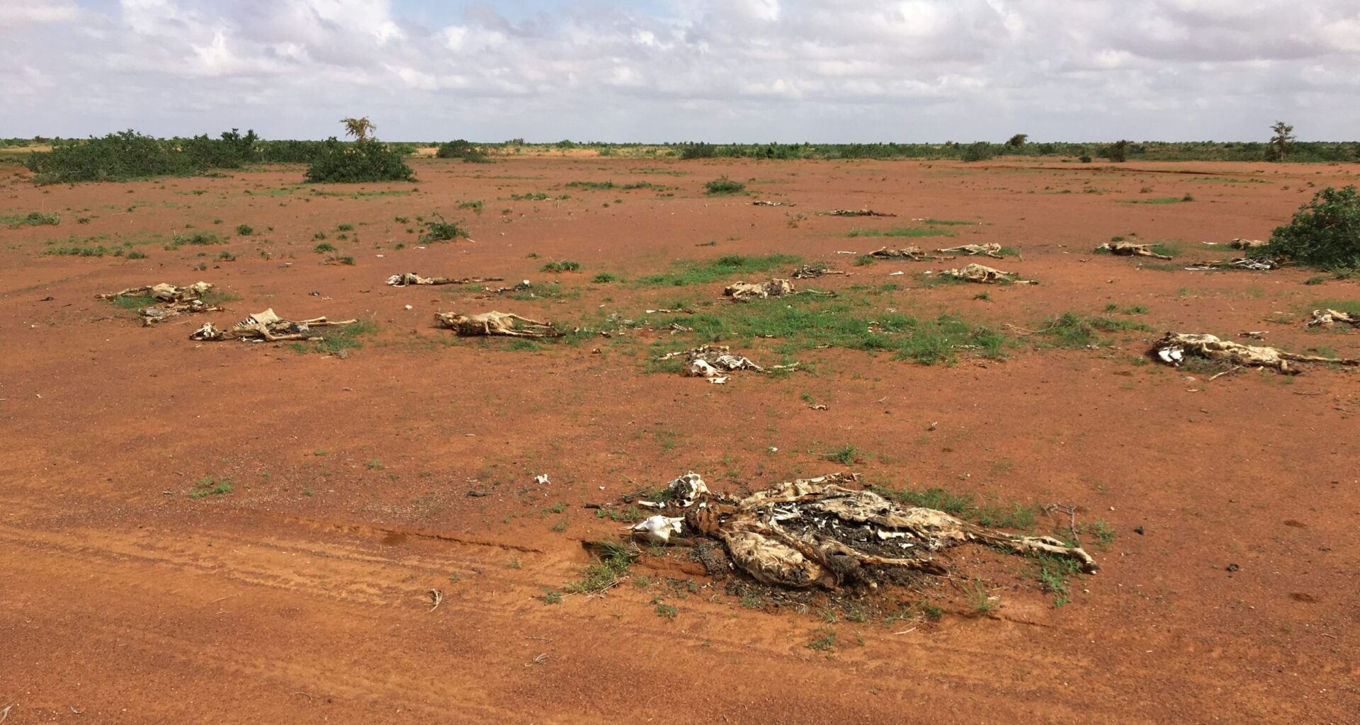 Africa's smallholder farmers face collapse if we do not act on climate change