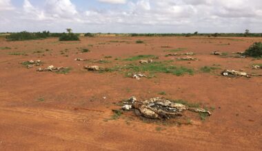Africa's smallholder farmers face collapse if we do not act on climate change