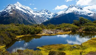 New Zealand’s Bold Move as Seasonal Visa Skyrockets to Transform Tourism and Tackle Labor Shortages!