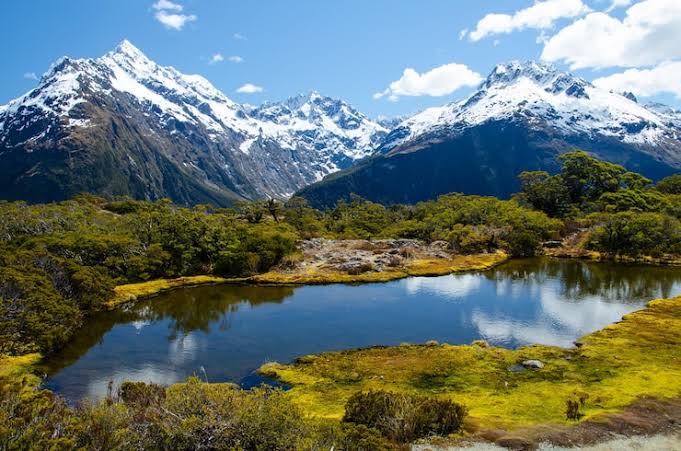 New Zealand’s Bold Move as Seasonal Visa Skyrockets to Transform Tourism and Tackle Labor Shortages!