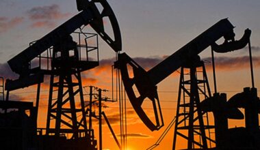 Russia is not Iran, India can’t cancel oil imports on U.S. demand: experts