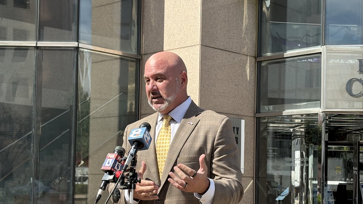 Florida DOGE finding 'egregious' government waste, fraud, abuse, CFO says - Tampa Bay Times