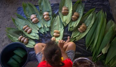 Scientists set out to map the world’s traditional food environments and their health impacts