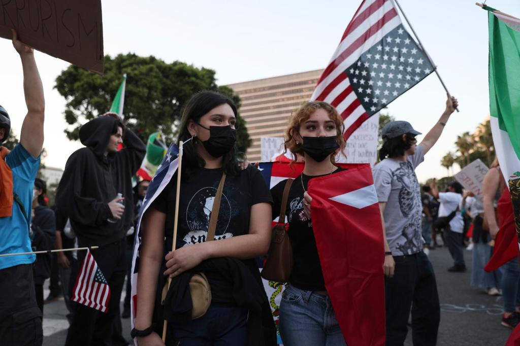 What immigrant protest movements need to succeed