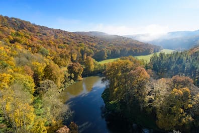 Blick auf den Nationalpark Thayatal in Niederösterreich und den Fluss Thaya.