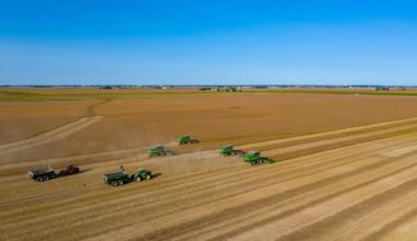 EPA’s Proposal to Focus Biofuel Policy on Domestic Fuels Doesn't Add Up