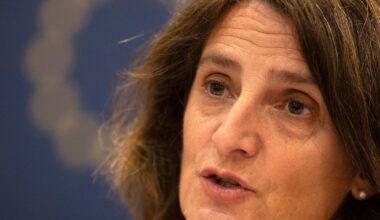 Stand up to Trump on Big Tech, says EU antitrust chief – The Irish Times