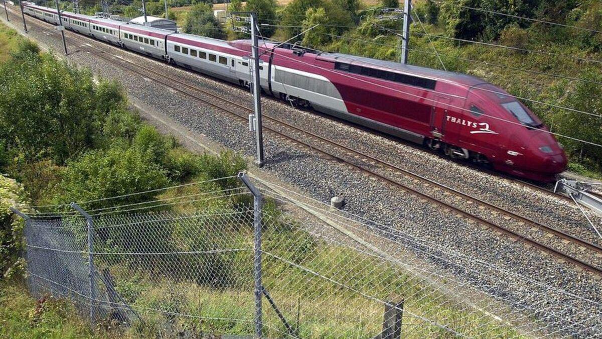 Le train est jusqu’à 26 fois plus cher que l’avion pour les trajets européens, selon Greenpeace