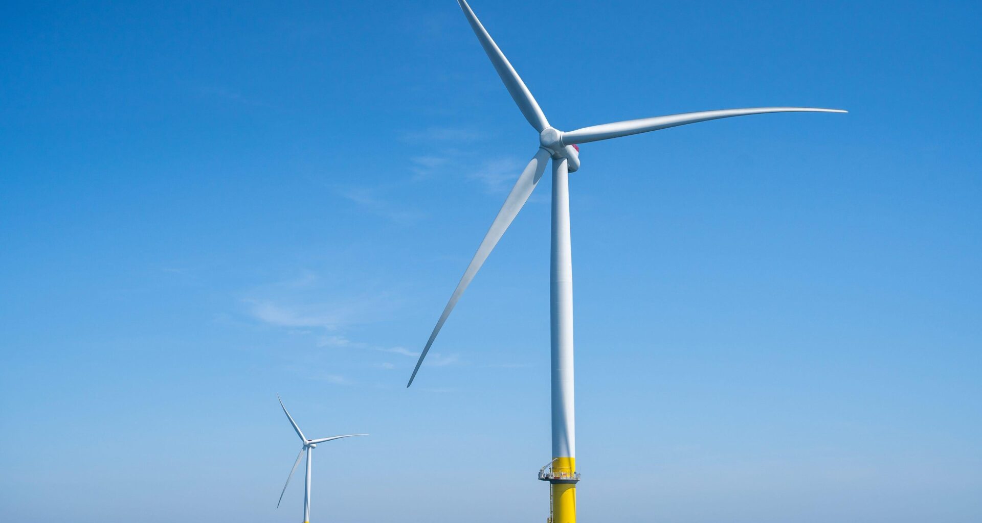 Why did Trump halt their project? Union wind workers want answers