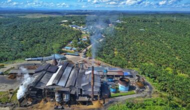 Fewer than half the calories grown on farms now reach our plates. In 2020, the world produced more than enough calories to feed the global population, but only half of those calories reached people’s plates due to rising meat and biofuel production.