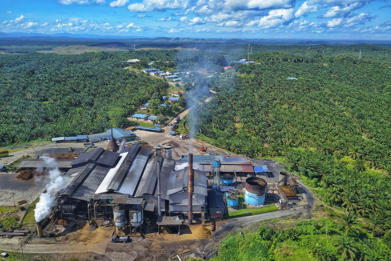 Fewer than half the calories grown on farms now reach our plates. In 2020, the world produced more than enough calories to feed the global population, but only half of those calories reached people’s plates due to rising meat and biofuel production.
