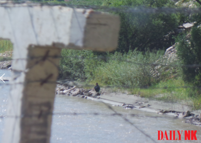 Barbed wire along the Sino-North Korea border.