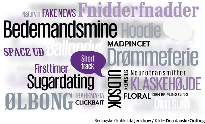 Den Danske Ordbog (ordnet.dk) er truet af lukning