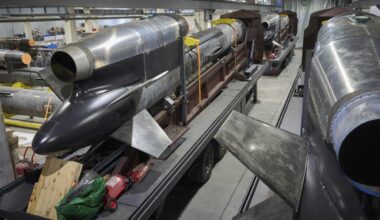 Ukraine unveils new Flamingo missile: What to know