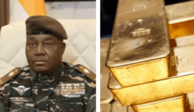 Niger’s military government seizes control of industrial gold mine from Australian operator