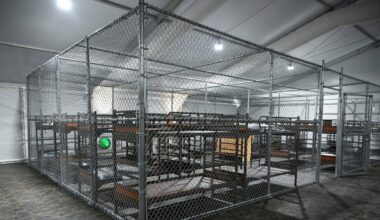Florida's 'Alligator Alcatraz' detention facility to be empty 'within a few days'