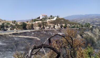cover Limassol’s Monolithos winery reconnected to power after wildfire devastation