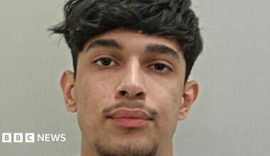 Hit-and-run driver who killed pregnant woman's baby jailed