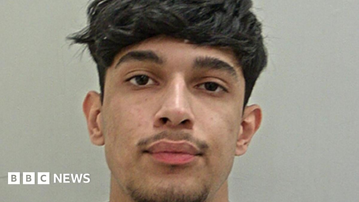 Hit-and-run driver who killed pregnant woman's baby jailed