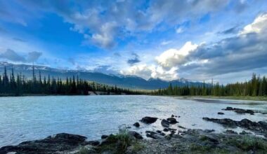 Alberta’s old coal mines contaminating water, endangering fish, study finds