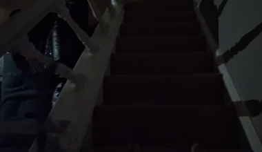 At 1am this morning my daughter woke me up to tell me a cat had jumped through her window... it took half an hour to get it out !