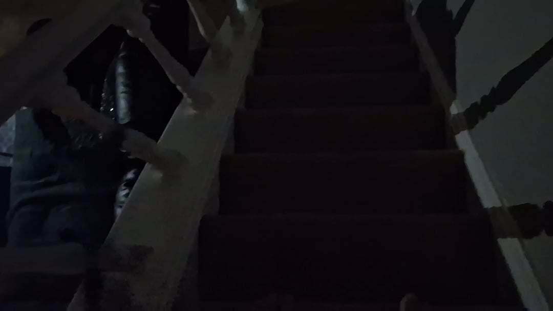 At 1am this morning my daughter woke me up to tell me a cat had jumped through her window... it took half an hour to get it out !