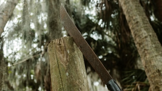 Saurabh Anand was allegedly attacked by a group of five teenagers with a machete outside a shopping mall in Australia. (Representational image). (Unsplash/Taylor Daugherty)