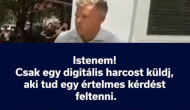 Fideszes bácsi szerint a napraforgó ismerete ma a legfontosabb kérdés hazánkban