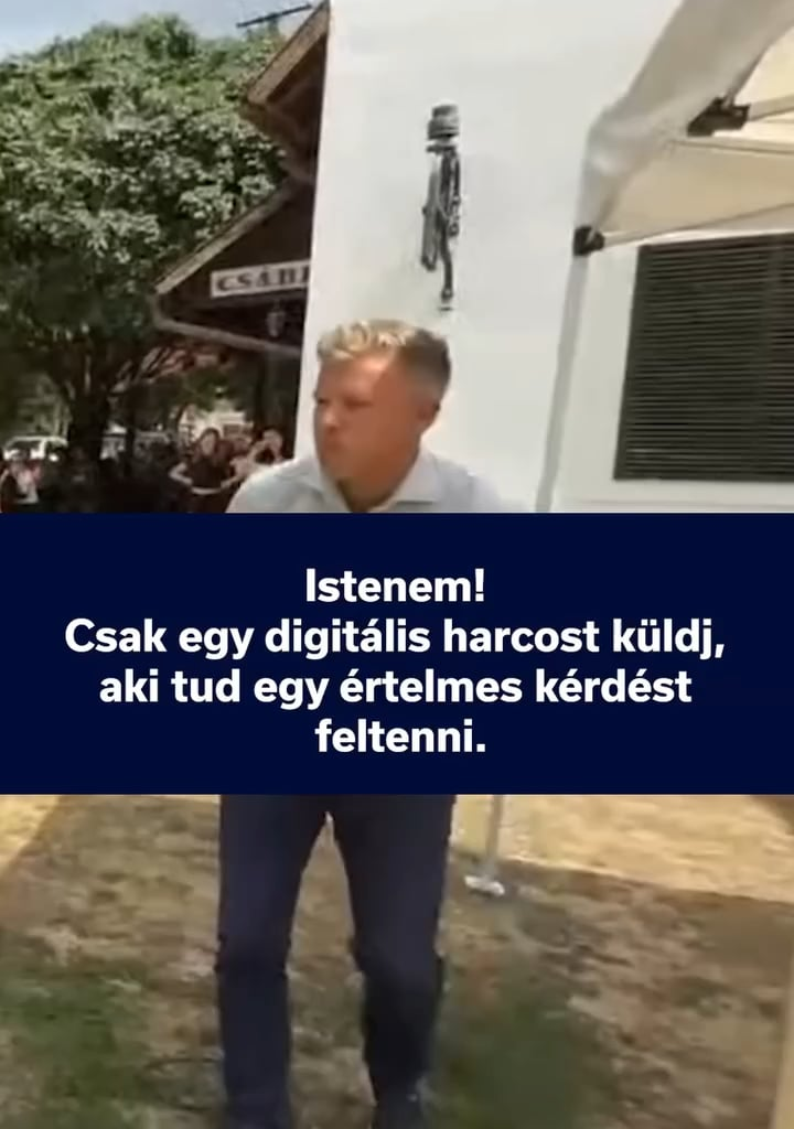 Fideszes bácsi szerint a napraforgó ismerete ma a legfontosabb kérdés hazánkban