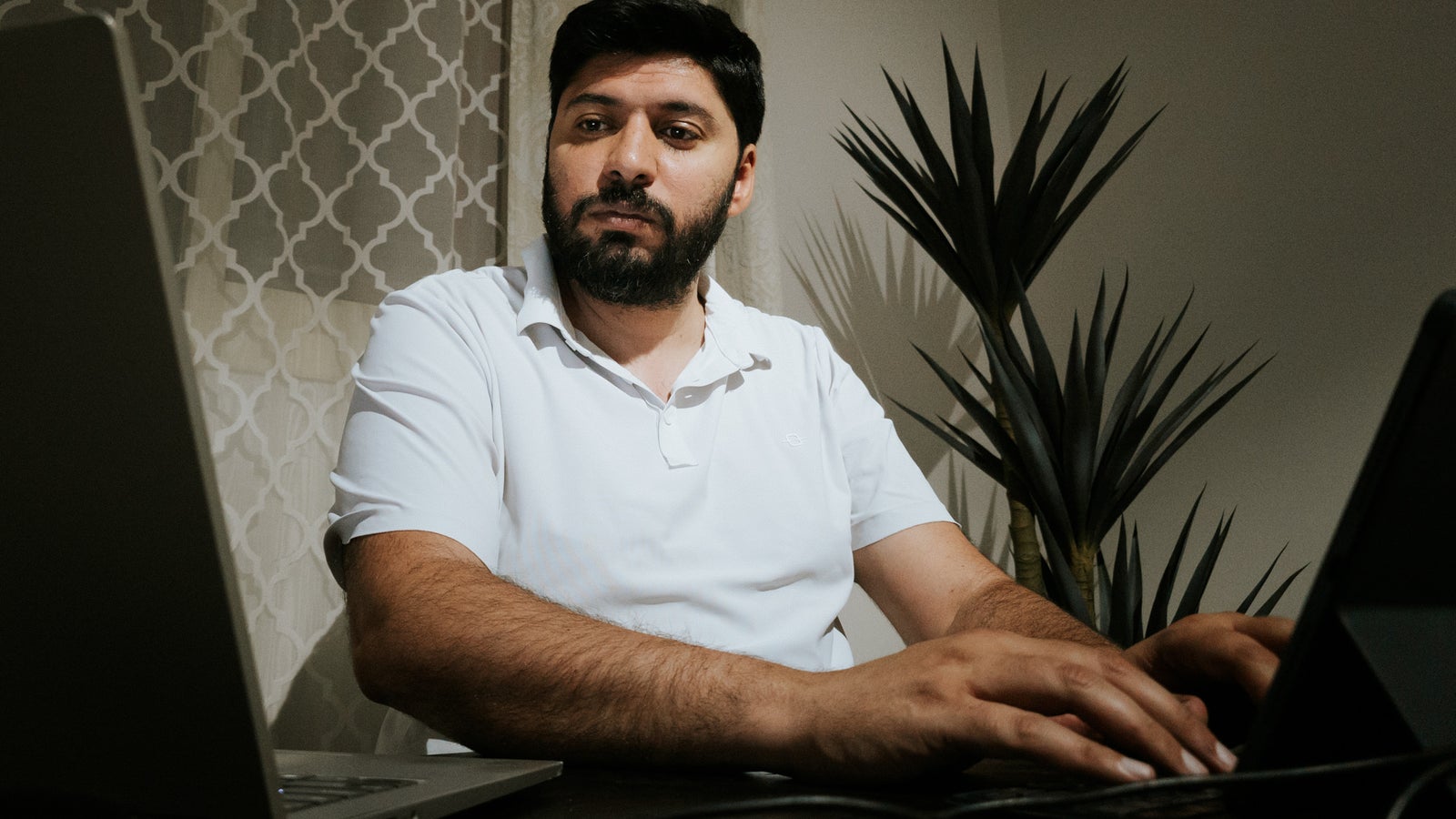 A man with a beard and wearing a white polo shirt is sitting at a desk with two laptops, focused on typing. In the background, there's a curtain with a geometric pattern and a large indoor plant.