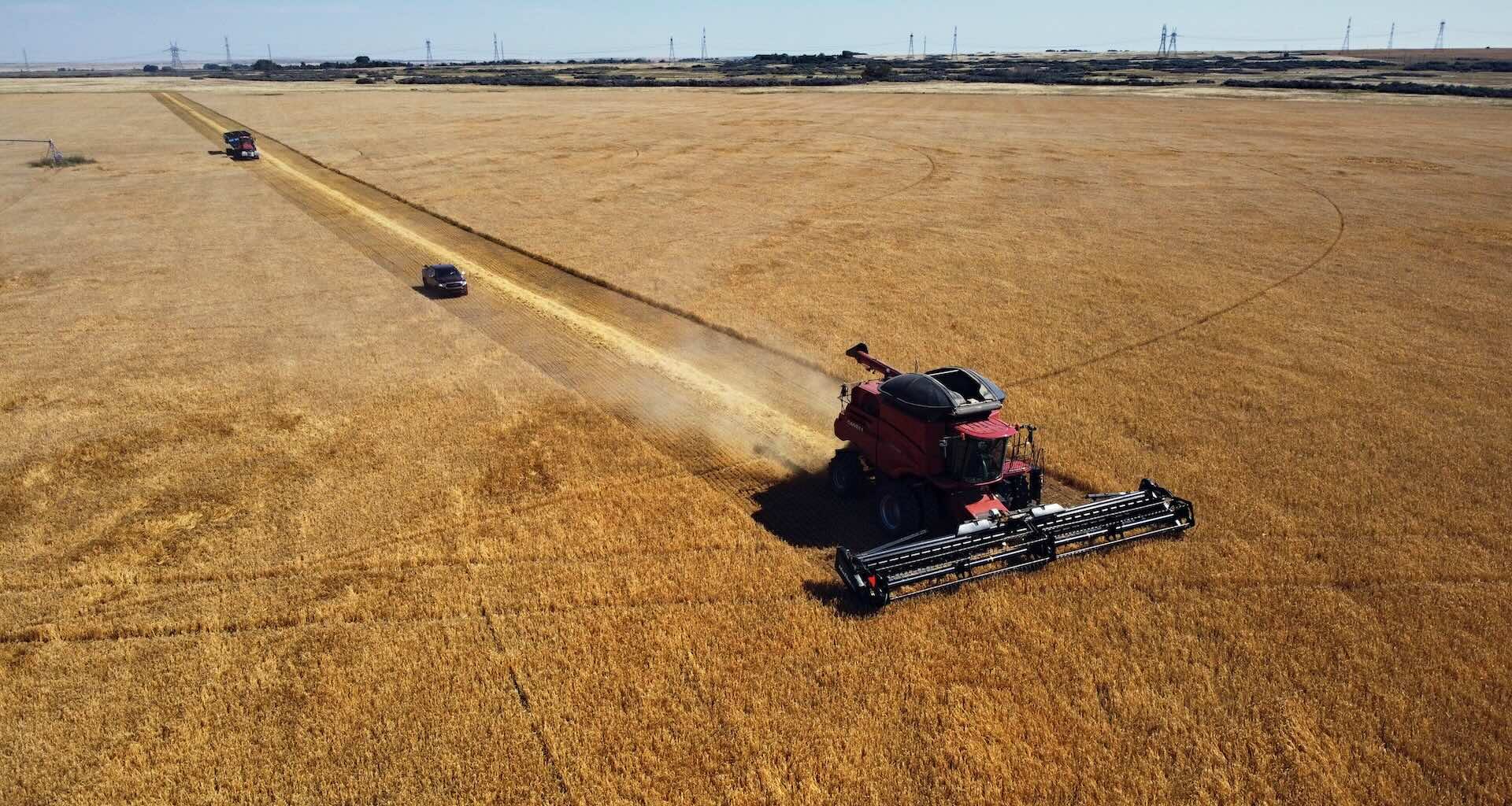 Aerial view of a large combine harvester and a tractor driving through a vast golden field during harvest, creating parallel tracks.