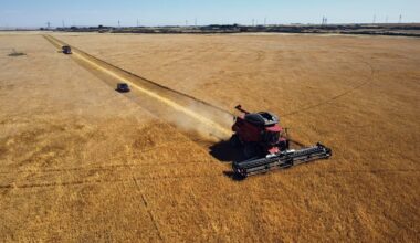 Aerial view of a large combine harvester and a tractor driving through a vast golden field during harvest, creating parallel tracks.