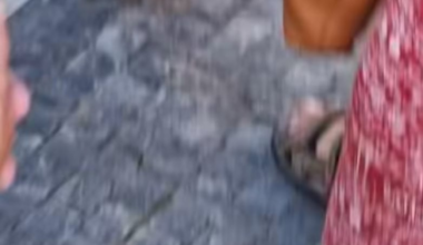 Brzy nás čeká GUMOVLÁDA