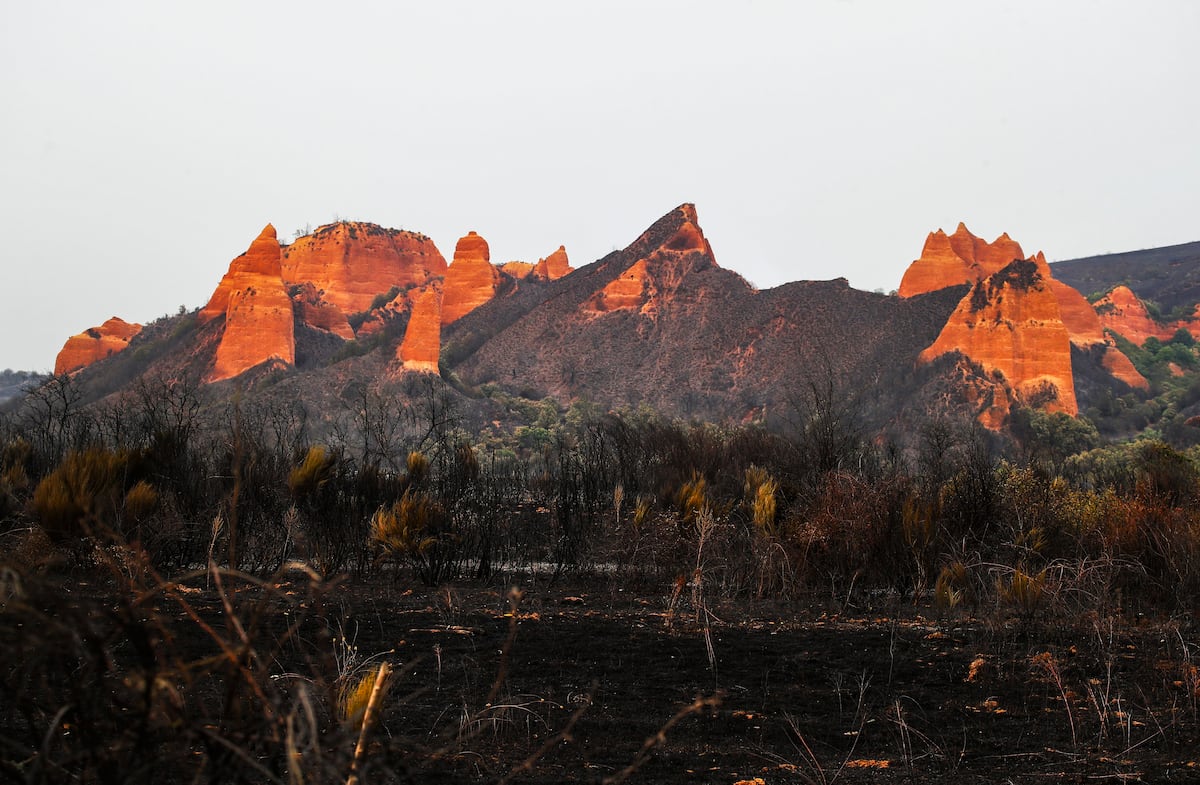 EL PAÍS