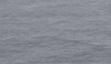 My friend and i roadtripped to Nordkapp last week, and we saw Orcas!