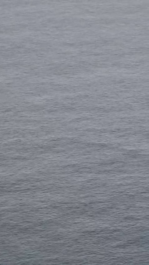 My friend and i roadtripped to Nordkapp last week, and we saw Orcas!
